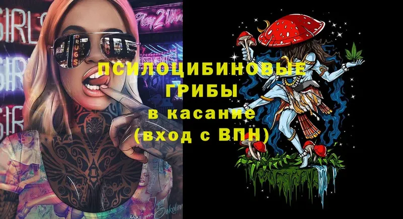 Галлюциногенные грибы Psilocybine cubensis Новокузнецк